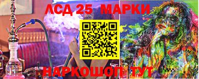 mdma Гатчина