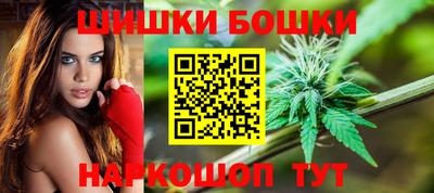 mdma Гатчина