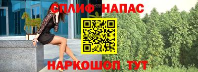 mdma Гатчина